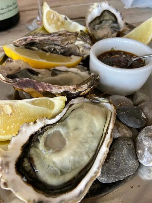 устричная ферма в крыму. устричная ферма в крыму. ферма устриц в крыму. устричная ферма кацивели яхонт. устричная ферма в крыму.