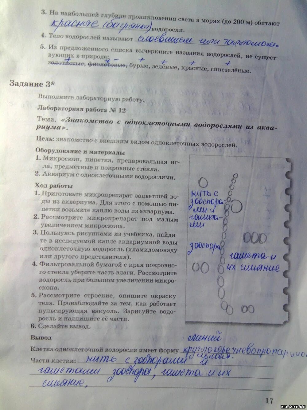 Лабораторные работы 5 класс пономарева. Задания по биологии 6 класс пономарева. лабораторная 6 по биологии 6 класс пономарева. гдз по биологии 6 класс пономарева.