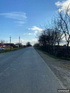 Погода козет
