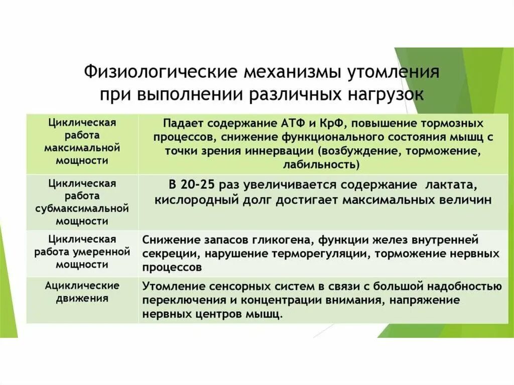 Физиологические механизмы утомления. Механизм развития утомления. Механизмы мышечного утомления. Механизмы утомления физиология.