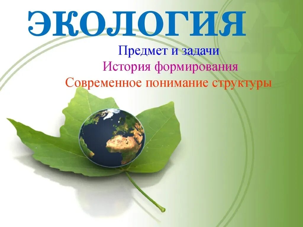 Природа для презентации. Классный час на экологическую тему. Экологическая игра поле чудес. Экологические мероприятия в школе. На болоте две лягушки физкультминутка.