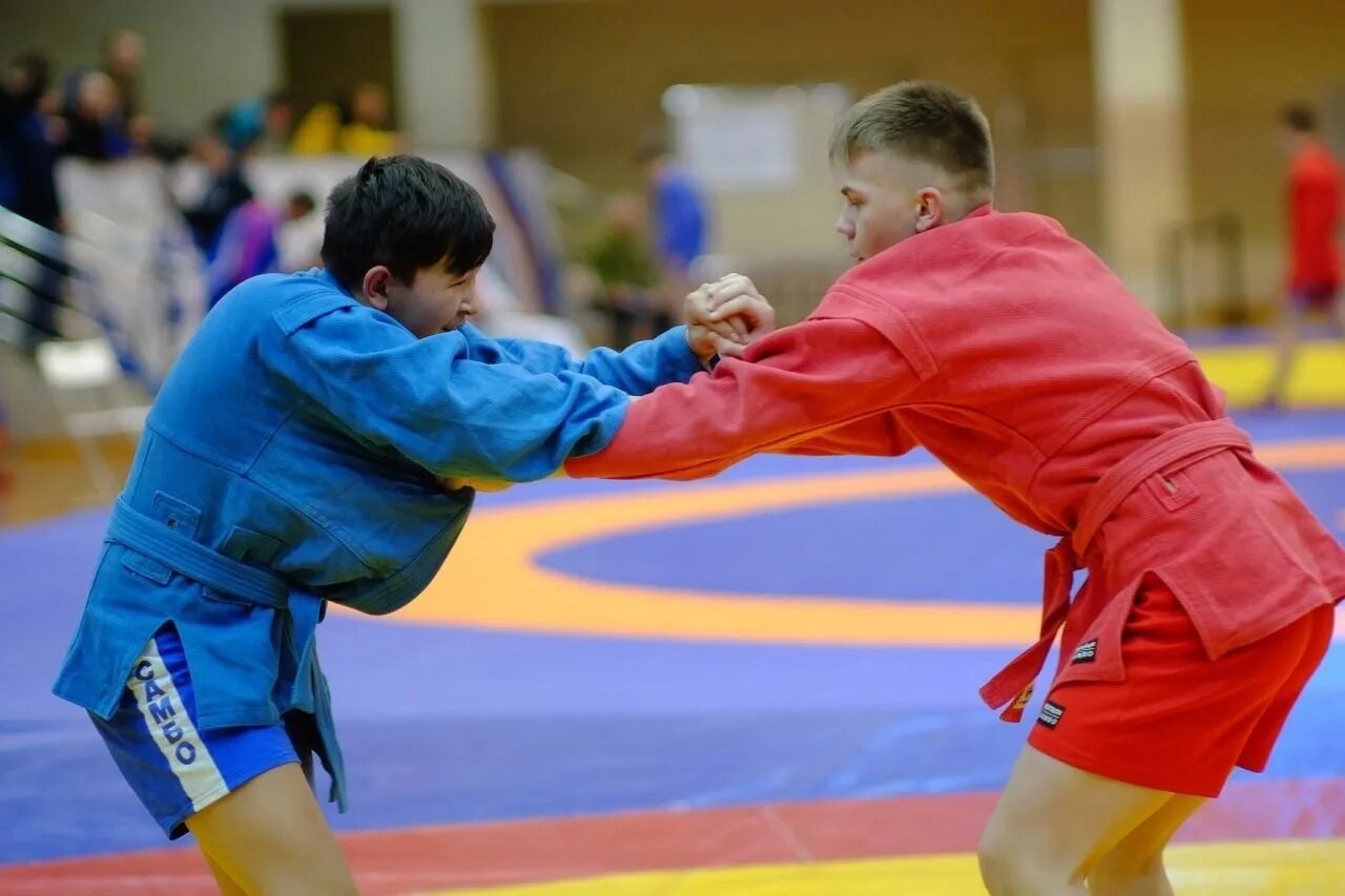 Соревнования по самбо киров 2024. Соревнования по самбо памяти собакинских. Бежаевский турнир по самбо 2018 год беслан. Соревнования по самбо киров 2024. Киров самбо 2023.