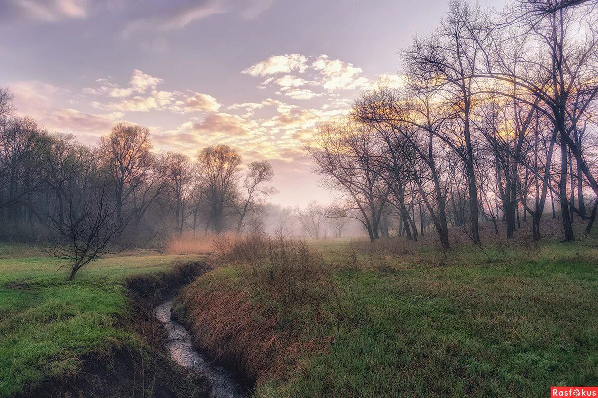 Пасмурный апрель. Пасмурный пейзаж. Пасмурный апрель. Лес после дождя. Пасмурный пейзаж.