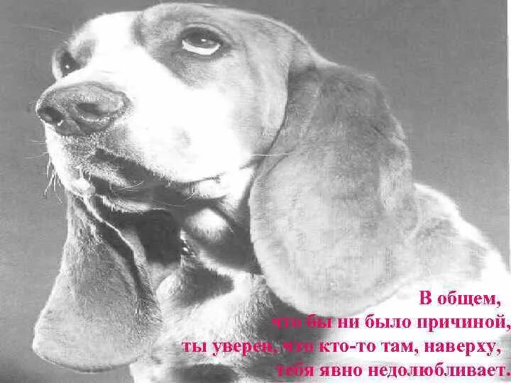 Содержание грустно. Когда тебе грустно. картинки которые когда тебе грустно. как то грустно картинки с названием. картинки для стенда если тебе грустно.