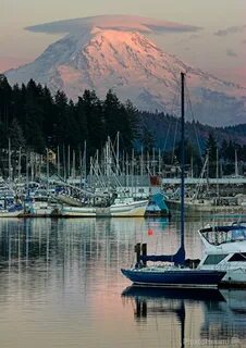 North harbor