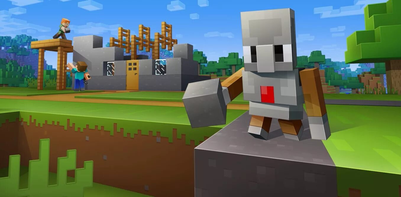 Minecraft net in. Minecraft net in