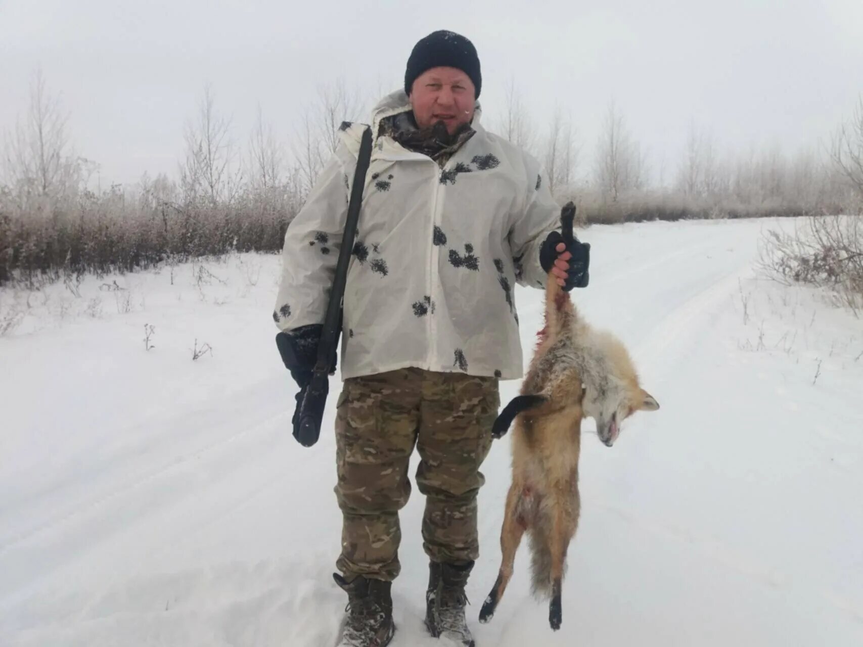 Охота на пушных животных. Охота на лису с гончими по чернотропу.