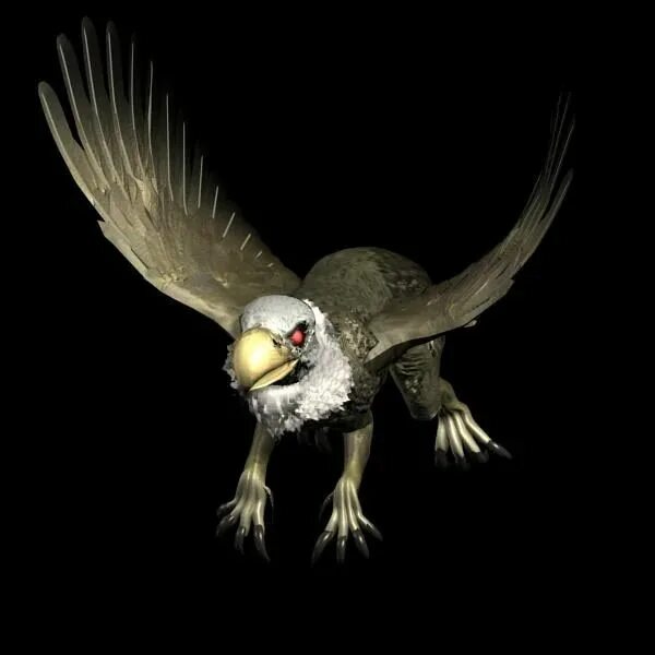 Heroes of might and magic 5 грифон. Грифон герои 4. Грифон герои. Грифон герои. Герои меча и магии 5 боевые грифоны.