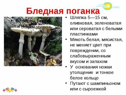 Рассказ о бледной поганке