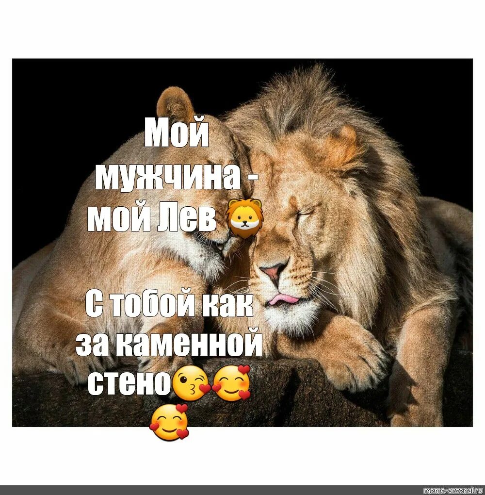 Мой лев читать. Мой мужчина мой лев. ты мой лев. я люблю тебя мой лев.