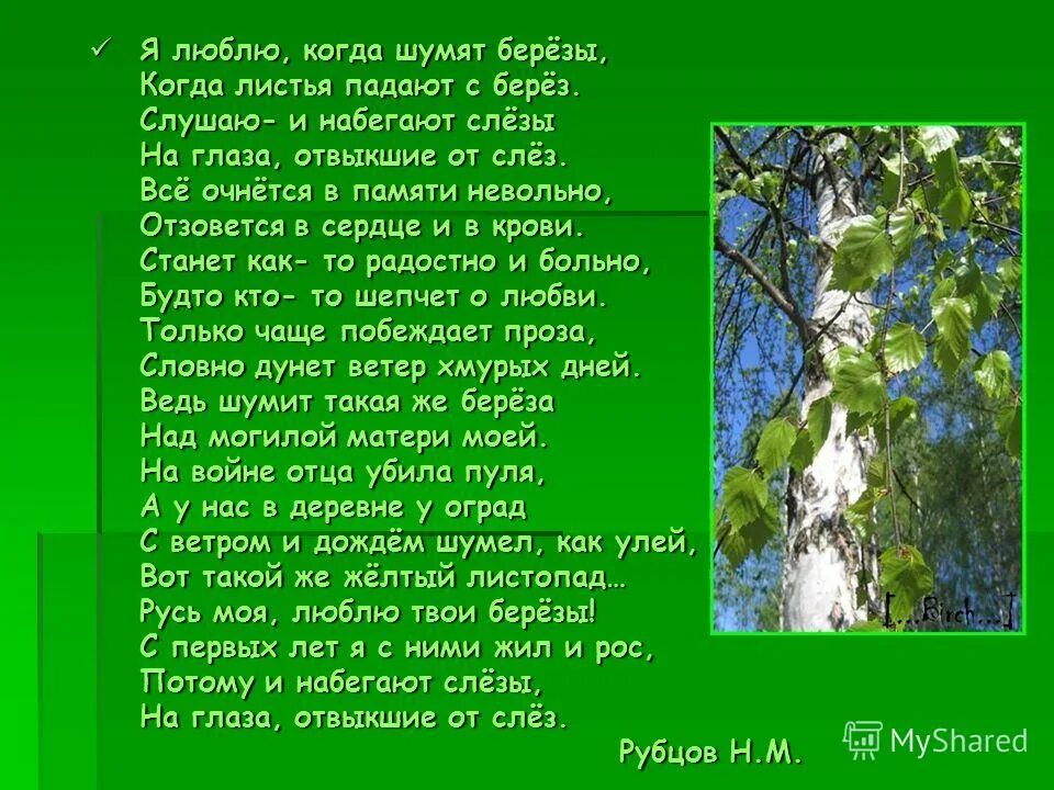 Рубцов берёзы стих. Стихотворение Рубцова березы. Берёза стихотворение я люблю. Березы я люблю когда шумят березы. Песня березы шумят слушать