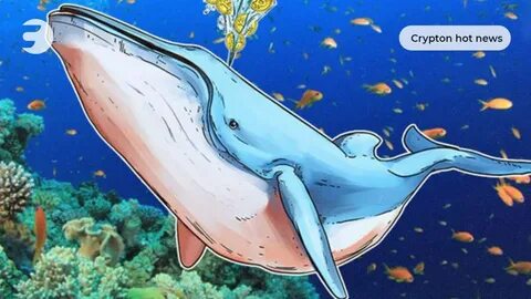Crypto whale