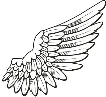 Wings drawing