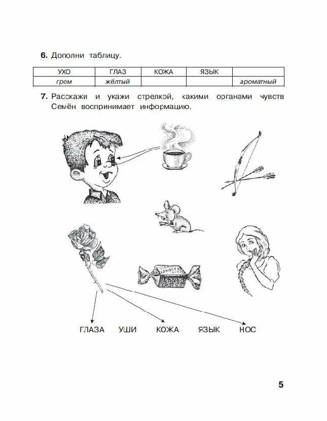 Органы чувств задания. Задание по органам чувств. Органы чувств задания для детей. Органы чувств 1 класс задания.
