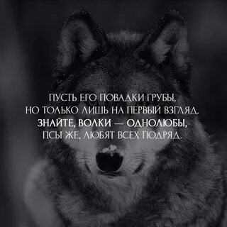 Мы не знали что в этих грубых