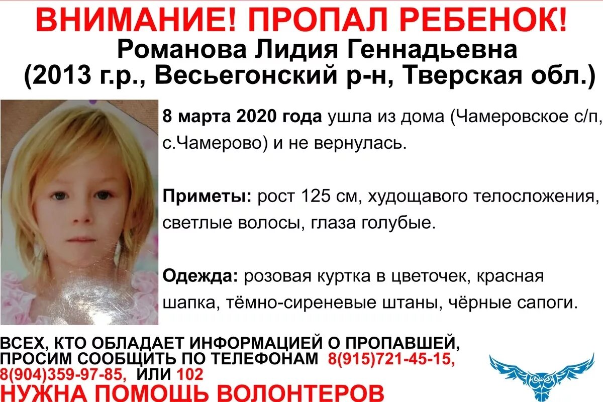 Где потерялась девочка