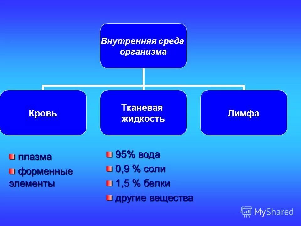 Внутренняя среда организма кровь тканевая жидкость лимфа. Внутренняя среда кровь лимфа тканевая жидкость форменные элементы. Компоненты внутренней среды организма. Форменные элементы тканевой жидкости.