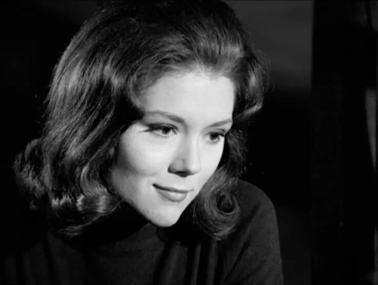 Diana rigg. Ригг фото. Дайана ригг. Дайана ригг. Дайана ригг.