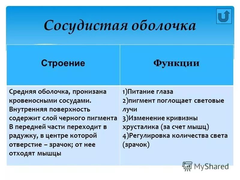 Особенности и функции оболочки. Сосудистая оболочка строение и функции. Сосудистая оболочка глаза функции. Сосудистая оболочка глаза строение и функции. Средняя (сосудистая) оболочка функция.