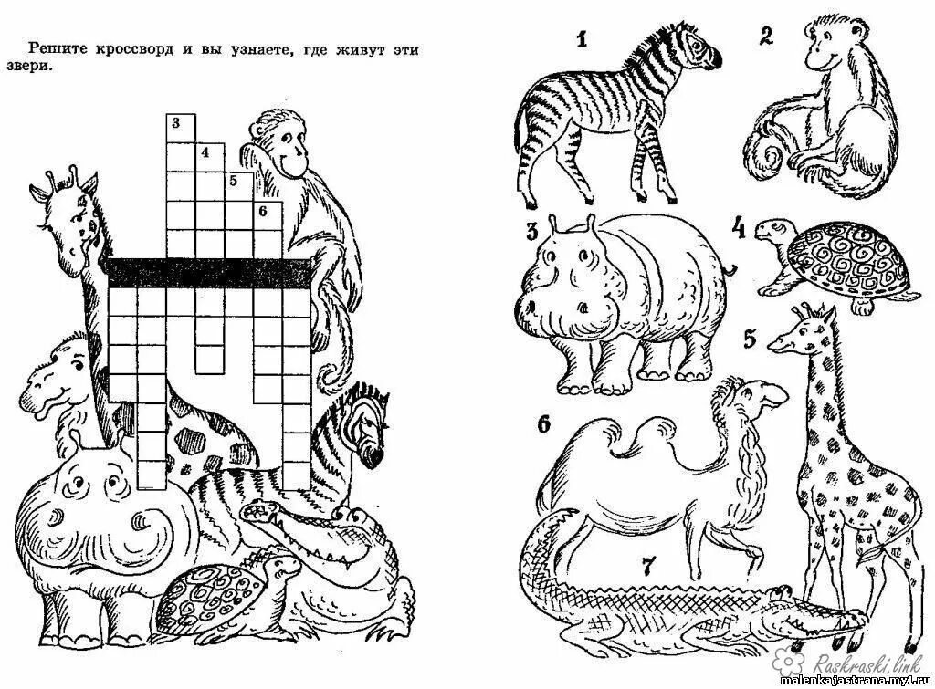 Кроссворды для детей. Кроссворды для детей дошкольников. Задания про животных. Задания для дошкольников кроссворд.