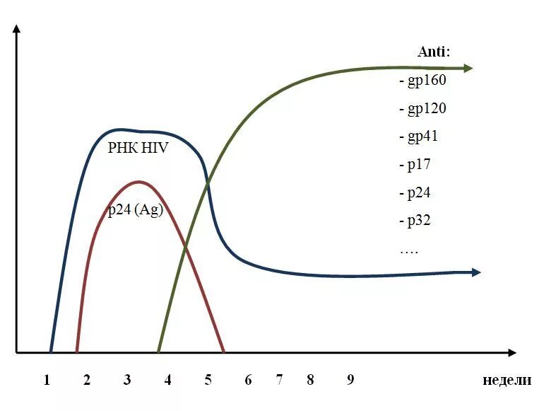 ИФА тест на ВИЧ 4 поколения. ИФА 4 поколения на ВИЧ через 3 недель достоверность. Достоверность ИФА 4 поколения на ВИЧ. ИФА 4 поколения на ВИЧ через 2 недели.
