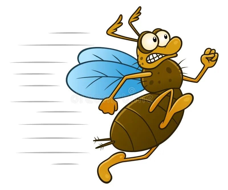Running bug