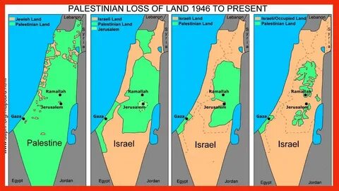 BOTA NË FOKUS Pushtimi i Palestinës, dështimi më i madh i OKB-së - YouTube