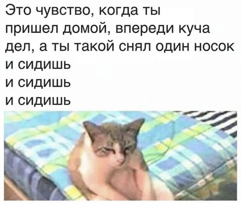 Приду и съем. Снял один носок и сидишь сидишь. Когда пришла домой с работы и сидишь. Пришла с работы. Пришла с работы сняла один носок.