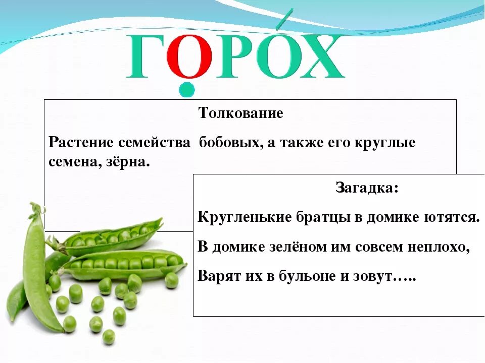 Загадка про горох. Загадки про бобовые. Загадки про семейство бобовых. Загадка про горох для детей. 5 загадок по биологии