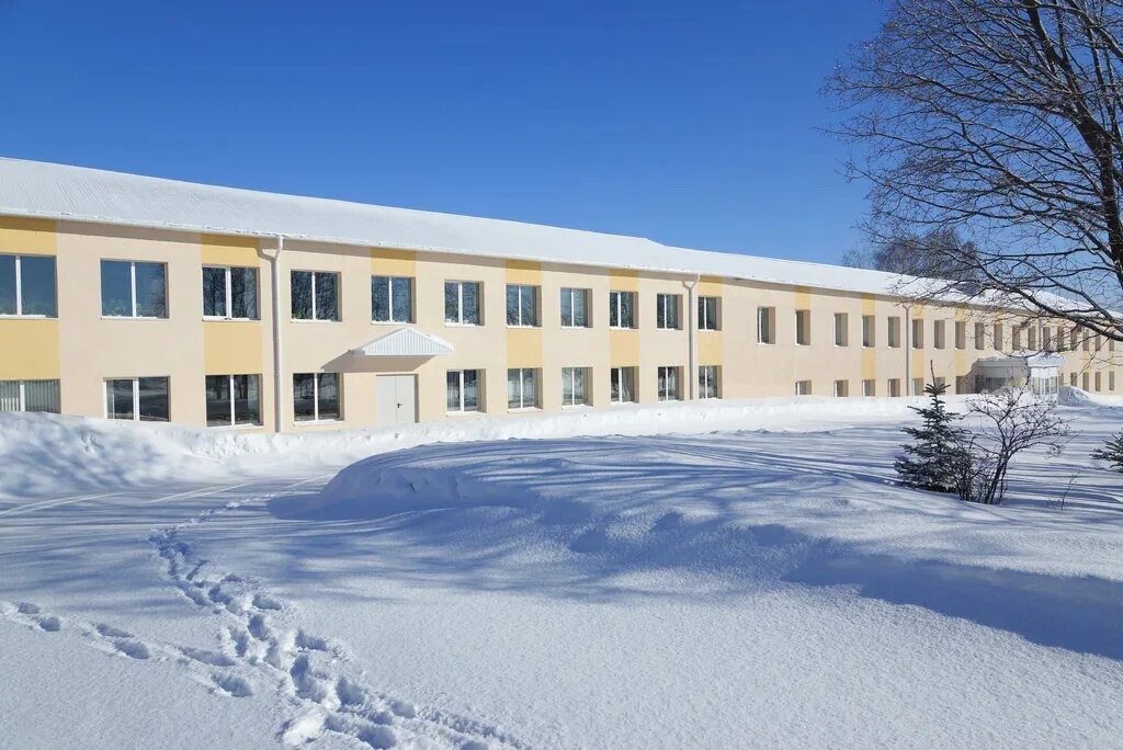 Санкт петербург агропромышленный техникум. М сибирцева. Аксеновский колледж раевка. М. М сибирцева директор.