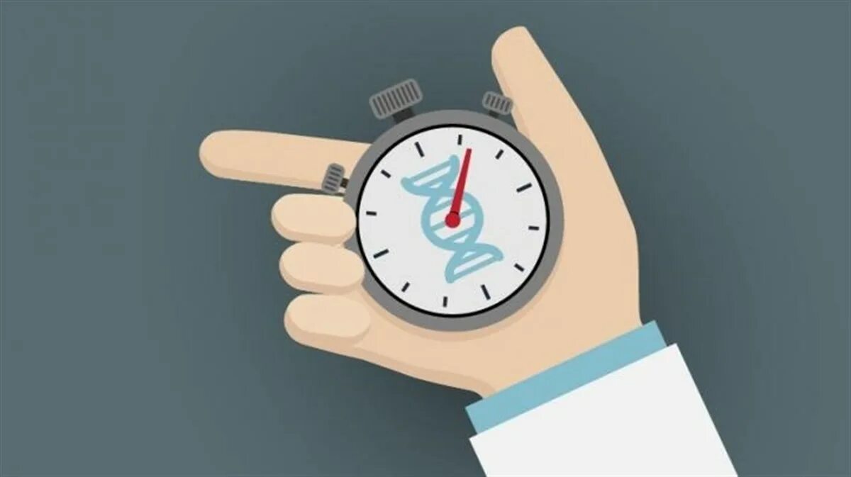 Time age change. Fast time. time to fast. on time in full. fast working hours.