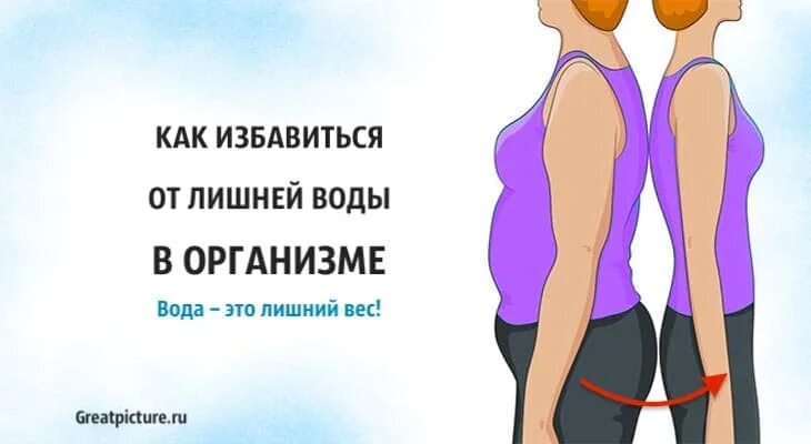 Что пить чтобы похудеть. Вывод лишней жидкости из организма. Лишняя жидкость в теле. Как выводить жидкость из организма. Накопление жидкости в организме.