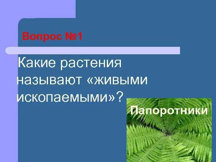 Какая наука изучает разнообразие растений