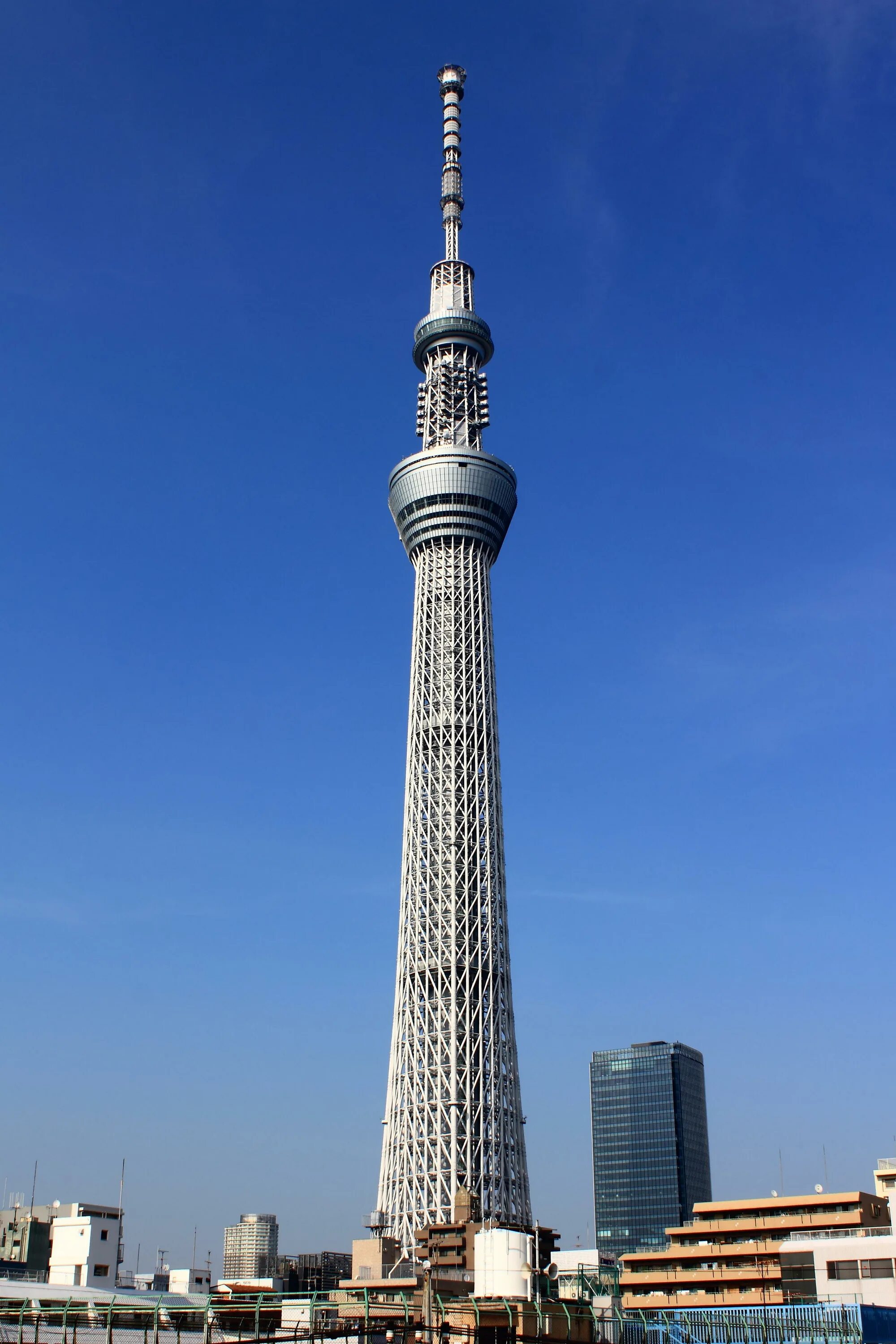 Какая красивая башня. Токио Скайтри. Башня Tokyo Skytree. Телебашня Токио Sky Tree. Небесное дерево Токио.