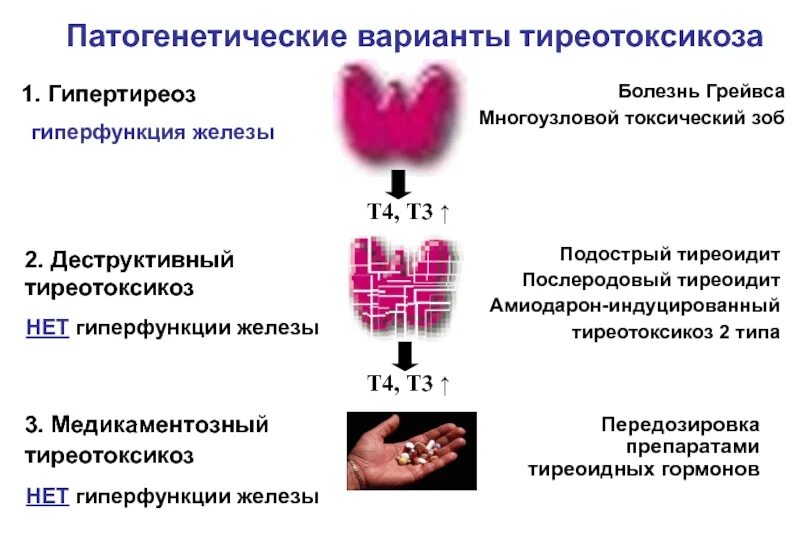 Аутоиммунный зоб. Амиодарон индуцированный тиреоидит. Аутоиммунный тиреоидит и тиреотоксикоз. Аутоиммунный тиреоидит гипертиреоз. Гипертиреоз патогенез.