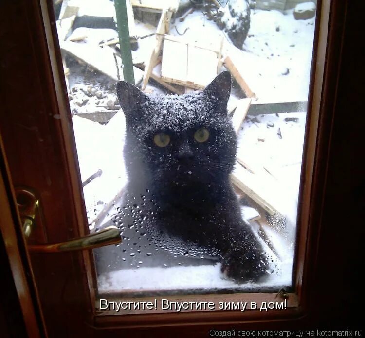 Простые люди цитаты. Впускаешь людей в свою жизнь. Делайте все что хотите только впустите. Что делать когда ничего не хочется. Хозяйка впусти.