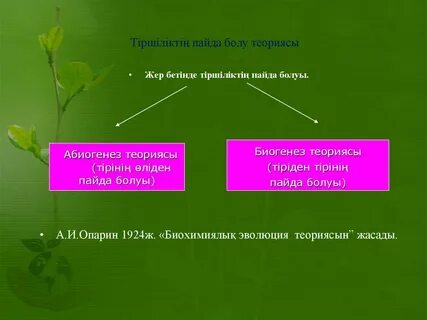 Жер бетінде тіршіліктің пайда болуы