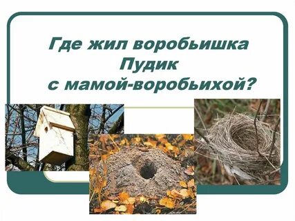 План воробьишко