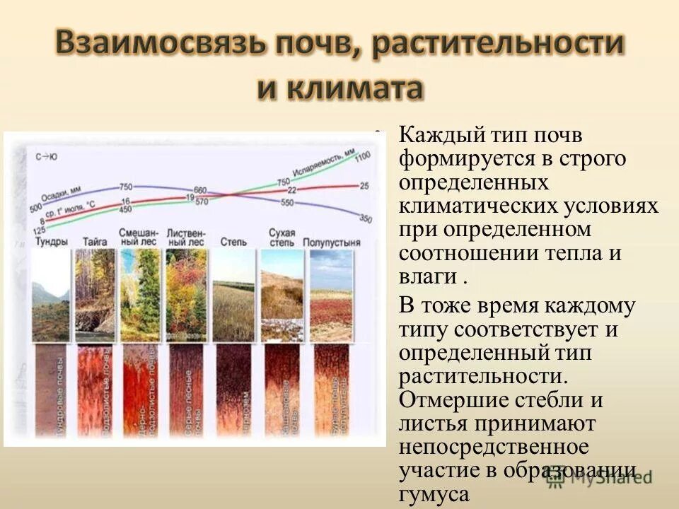 Дайте объяснения выявленным климатическим различиям