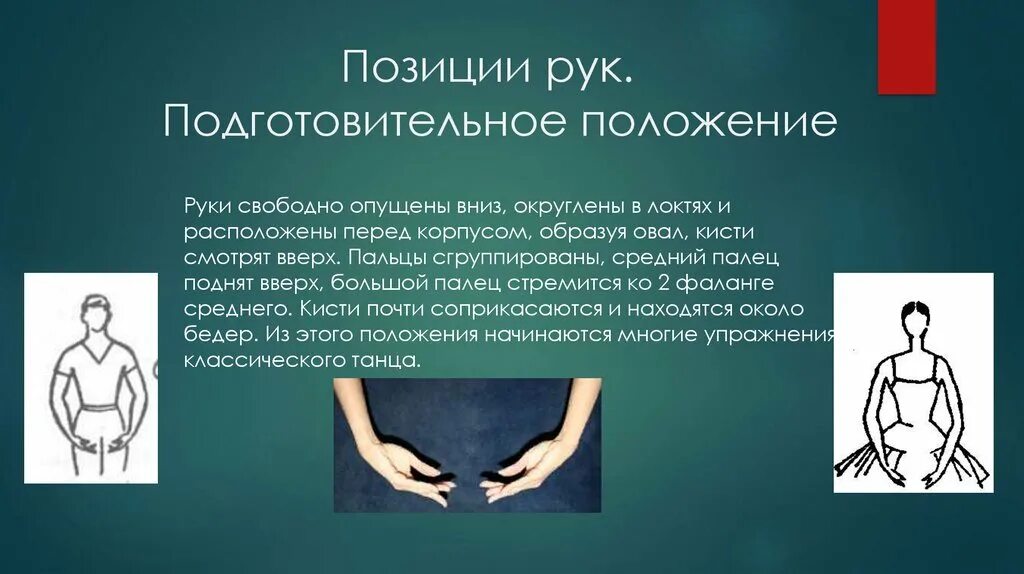 Плотный позиция. Положение кисти в классическом танце. Подготовительная позиция рук. Позиции рук. Позиции рук в классическом танце.