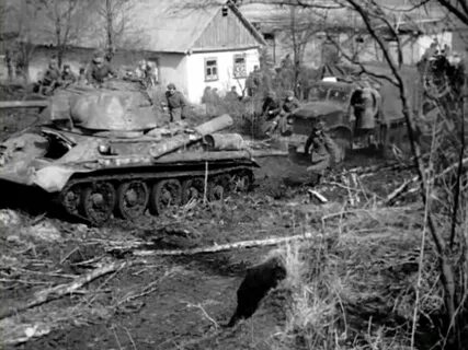 Кампания 1944