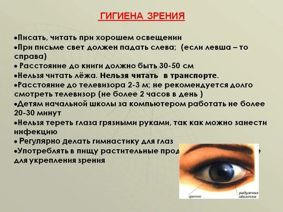 Глаз закона. Органы чувств глаза. Доклад на тему глаз. Глаза орган зрения гигиена. Органы чувств человека зрение.