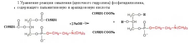 Щелочной гидролиз фосфатидилсерина реакция. Фосфатидилхолин гидролиз в щелочной среде. Гидролиз фосфатидилэтаноламина реакция. Схема щелочного гидролиза лецитина. Щелочной гидролиз изопропилацетата реакция