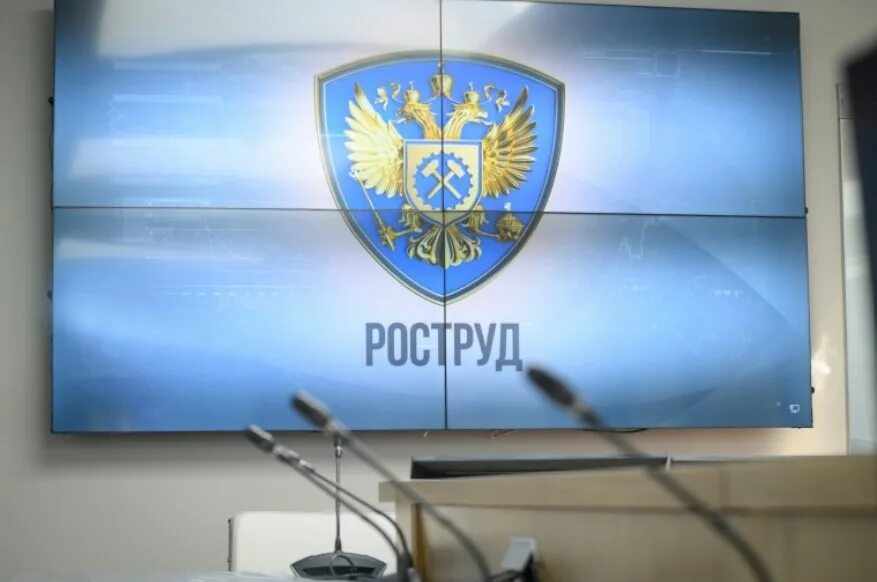 Роструд картинки. Картинки проведен профилактический визит гострудинспекции. Роструд 2022. Роструд официальный сайт. Федеральная служба занятости.