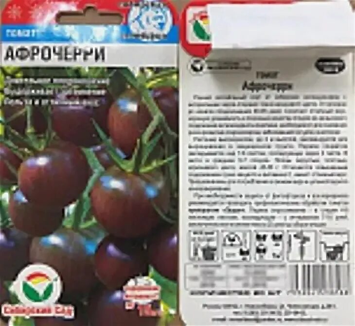 Томат афро-черри f1. Афрочерри сибирский сад. Томат черри сибирский сад. Томат черный шоколад f1. Помидоры черри шоколадная гроздь.