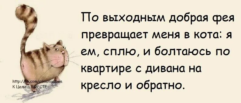 Что будете делать в выходные. Цитаты про выходные. Высказывания про выходные. Смешные фразы про выходные. Смешные цитаты про выходные.