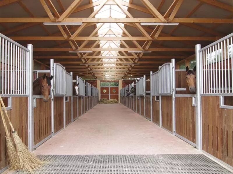 Stable for as. Денник 33. конюшни westphalian stables архитектура. конюшня на 10 лошадей проект. конюшня на 4 лошади.