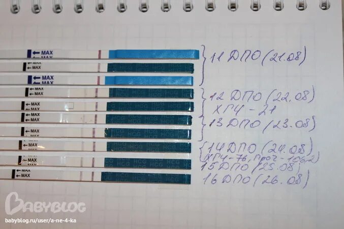 Через сколько дней происходит имплантация после овуляции. Тест после имплантации. на какой день происходит имплантация эмбриона после зачатия. имплантация после овуляции. имплантация эмбриона на какой день.