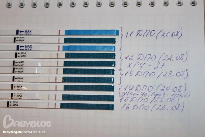 После каких дней наступает беременность. Тесты на беременность по дням. Тесты по дням. На какой день имплантация после ову. Тесты по дням после оплодотворения.