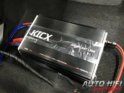 Kicx angry ant